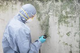  Ancient Oaks, PA Mold Removal Pros